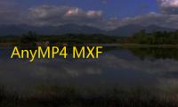 AnyMP4 MXF Converter(MXF文件转换器) 6.2.22 免费版
